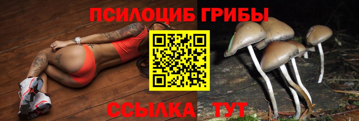 Родники  Псилоцибиновые грибы MAGIC MUSHROOMS  Вход с VPN 